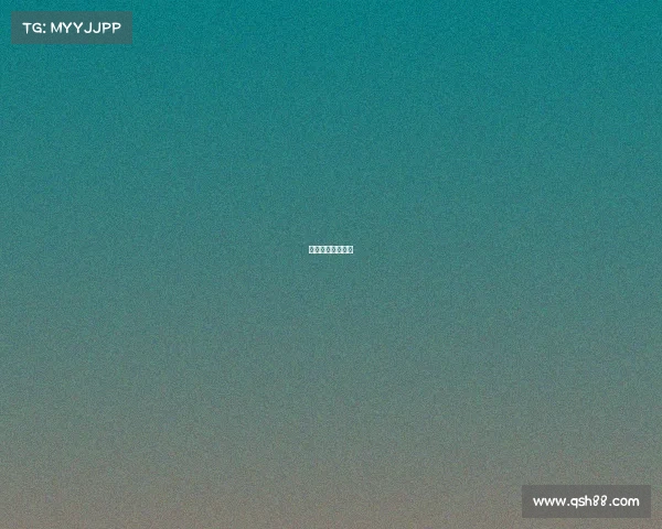 赛事简介英文翻译